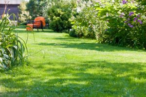 travaux jardin et paysage Magneville